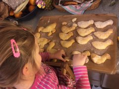 Martinsgänse Martinsgänse