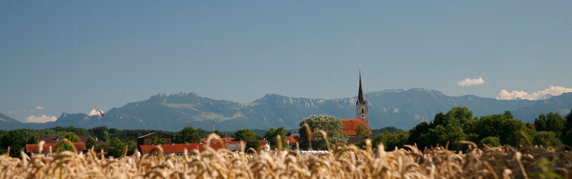 Headerbild Halfing 007